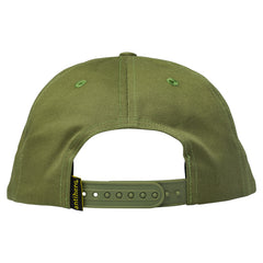 ANTIHERO GRYPTIDS SNAPBACK SAGE