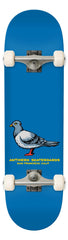 PIGEON  BLUE 8.25"