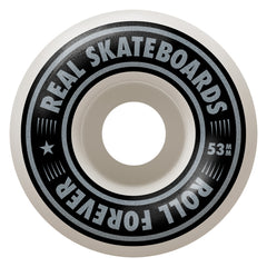 REAL BANDANA COMPLETE TEAL 7.75